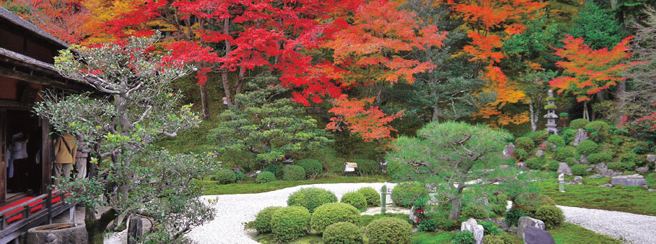 大原三千院と錦夏の曼殊院門跡の紅葉