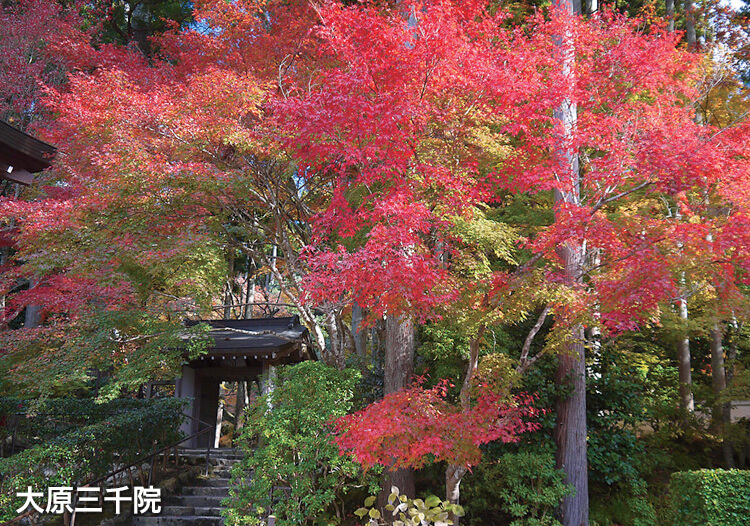 大原三千院