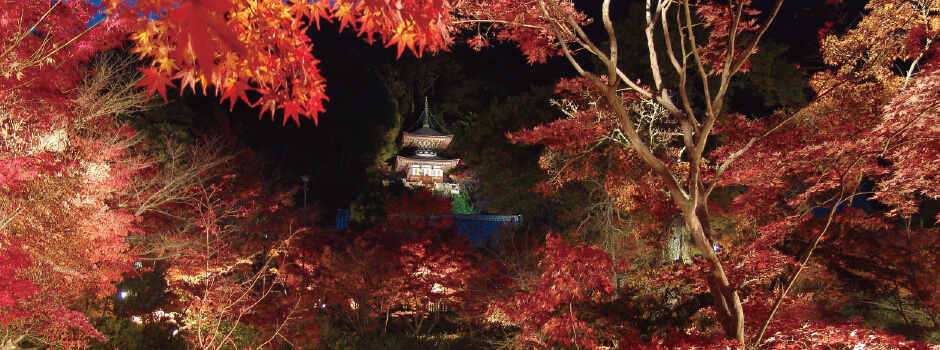 妙心寺退蔵院