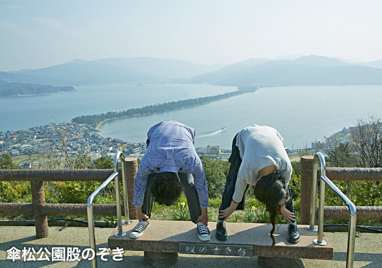 傘松公園股のぞき