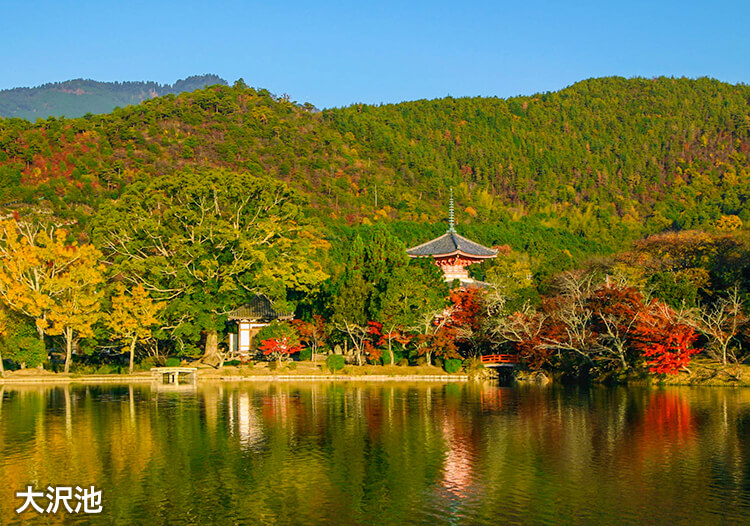 旧嵯峨御所大覚寺門跡 大沢池