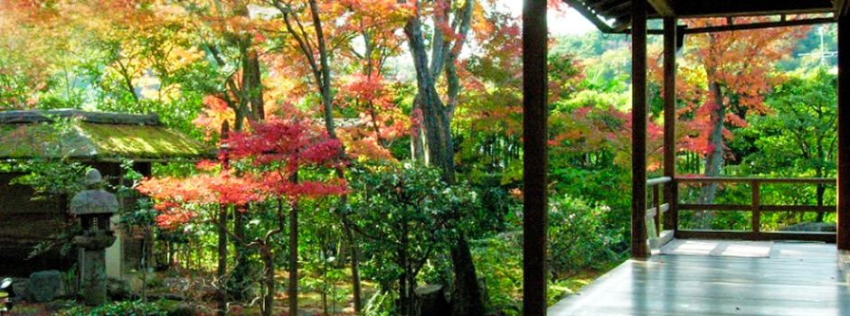 妙心寺塔頭大法院 庭園