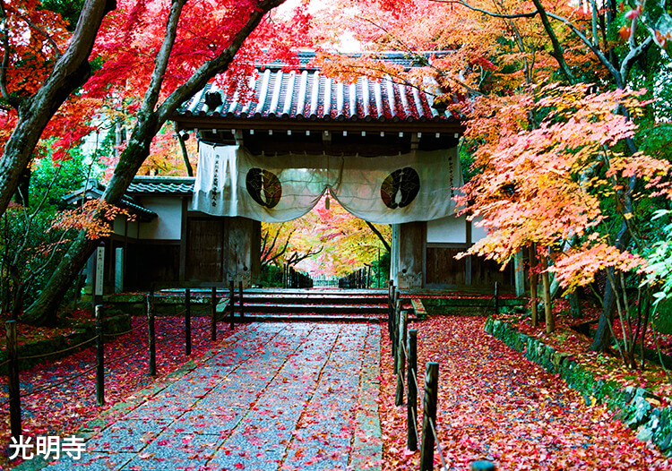 光明寺　撮影：水野克比古