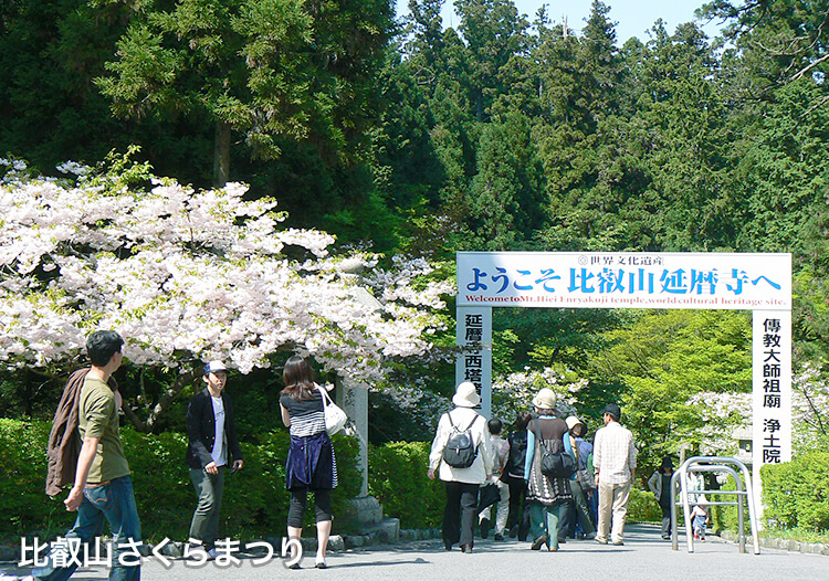 比叡山さくらまつり