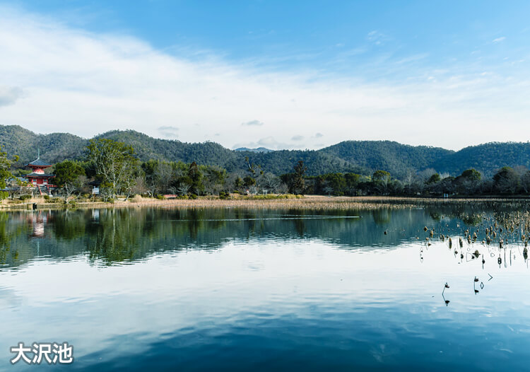 旧嵯峨御所大覚寺門跡 大沢池