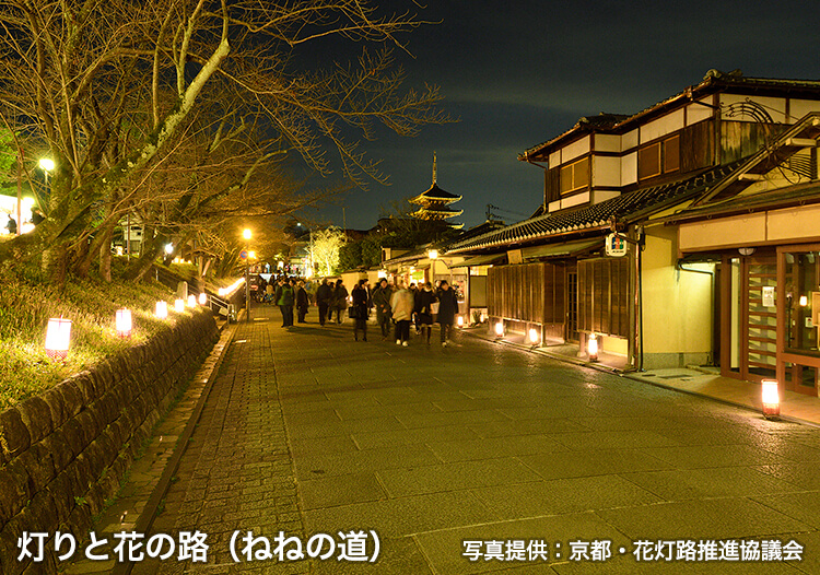 灯りと花の路（ねねの道）