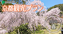 京都観光タクシープラン 2025・春