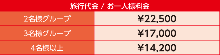 D-6:旅行代金