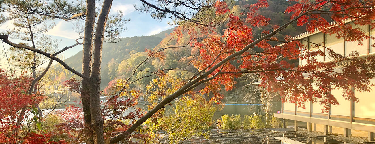 福田美術館