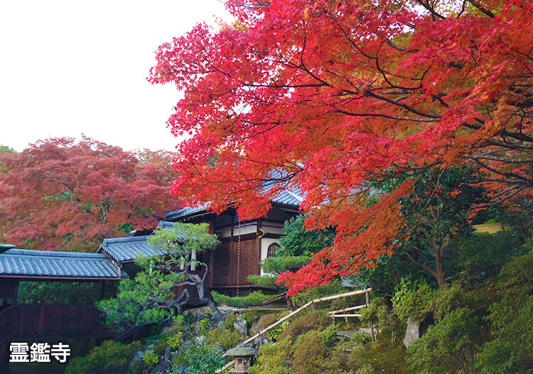 霊鑑寺