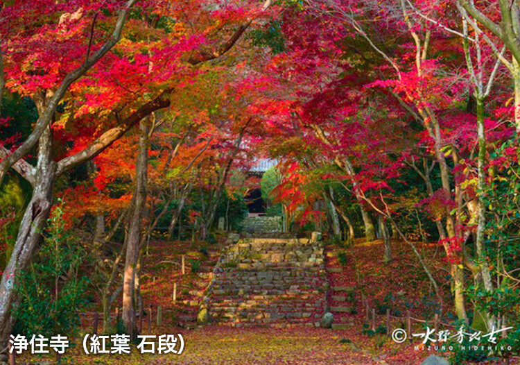 浄住寺