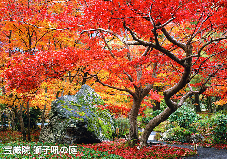 宝厳院 獅子吼の庭