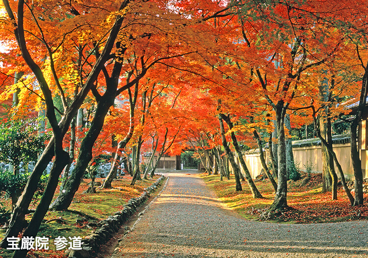 宝厳院 参道