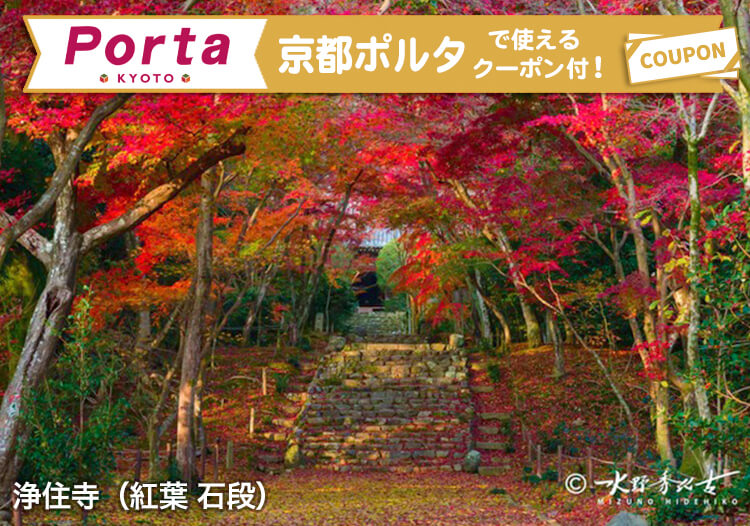 浄住寺 〜 旧三井家下鴨別邸
