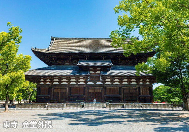東寺 金堂外観