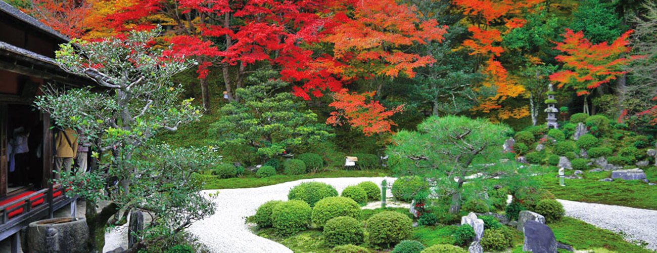 大原三千院と錦秋の曼殊院門跡の紅葉