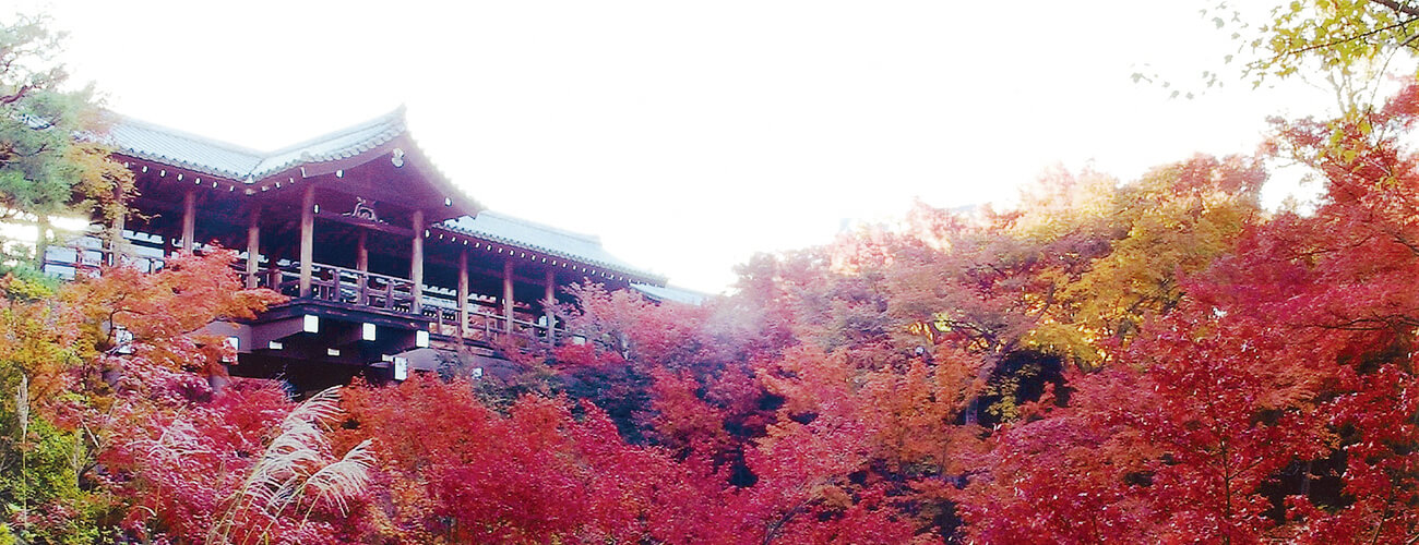 京都紅葉三昧 東福寺通天橋と高台寺