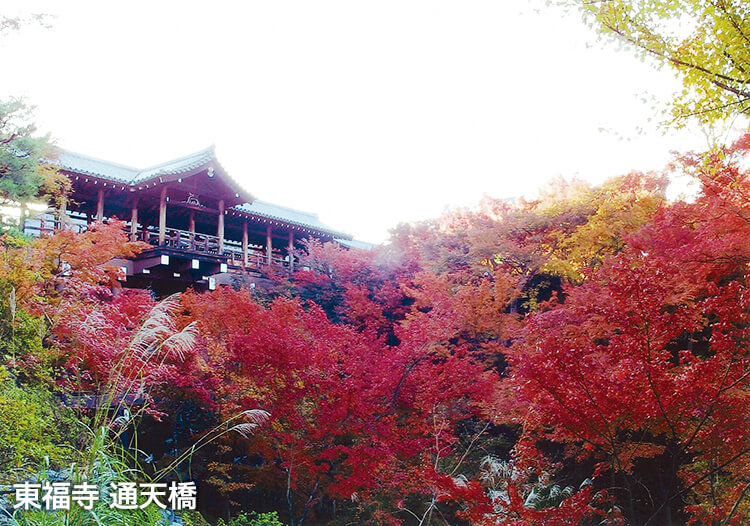 東福寺通天橋