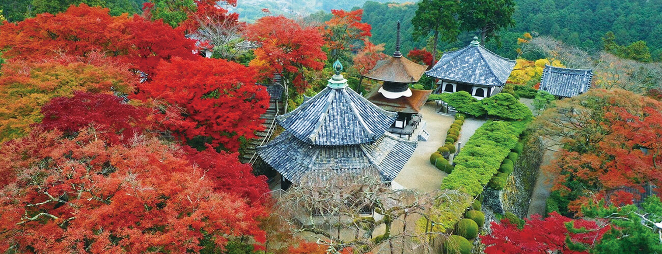  京都西山：紅葉名所めぐり 善峯寺＆光明寺