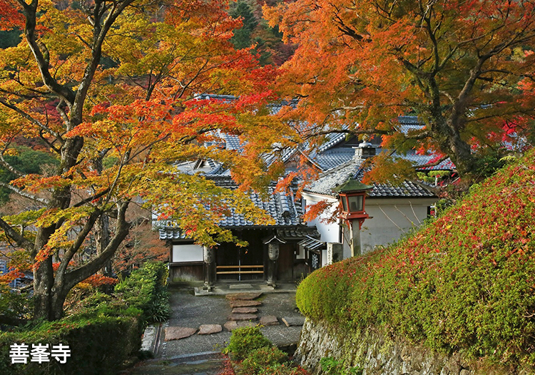 善峯寺