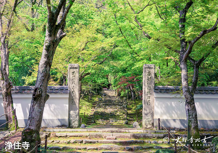 浄住寺 ©︎水野克比彦