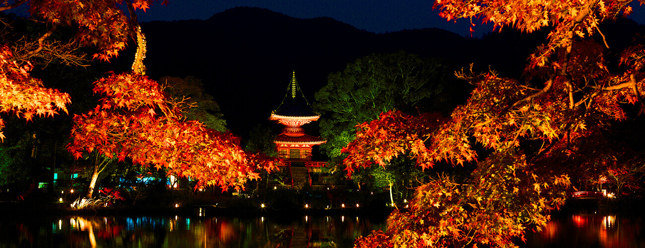 大覚寺 大沢池ライトアップ「真紅の水鏡」と仁和寺 もみじのライトアップ 「紅葉残照」