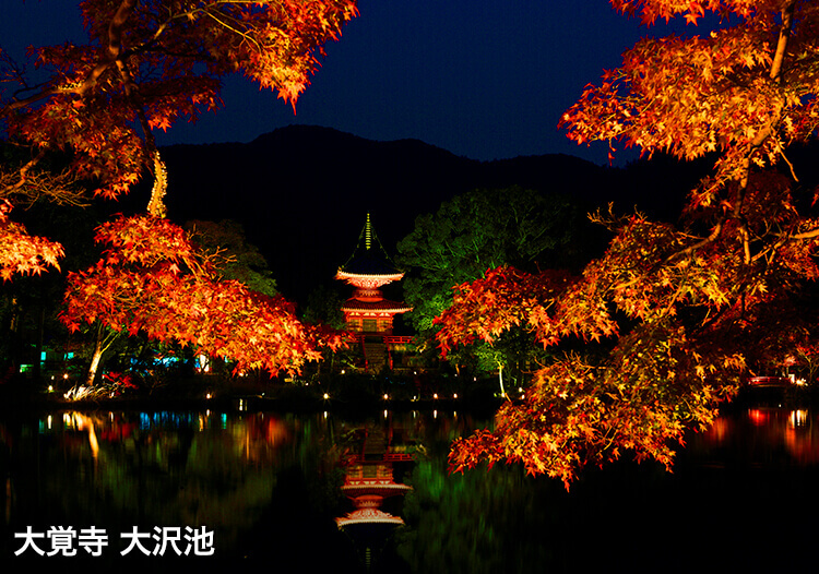 大覚寺 大沢池