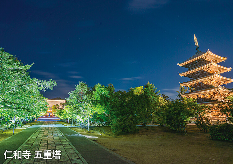 仁和寺 五重塔