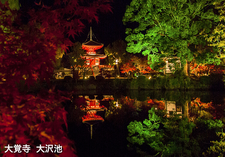 大覚寺 大沢池ライトアップ2