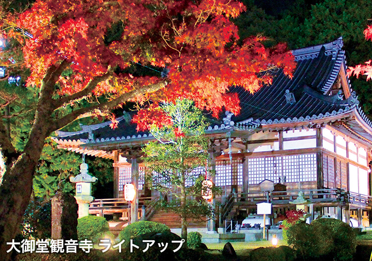 大御堂観音寺ライトアップ