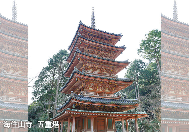 海住山寺 五重塔