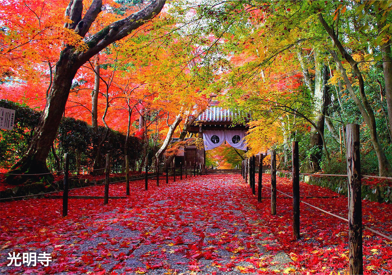 もうひとつの京都 京都西山 竹の里・乙訓をめぐる