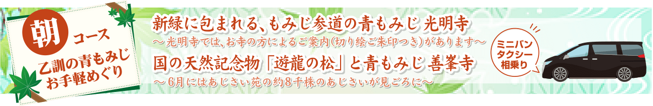 乙訓の青もみじお手軽めぐり:朝コース