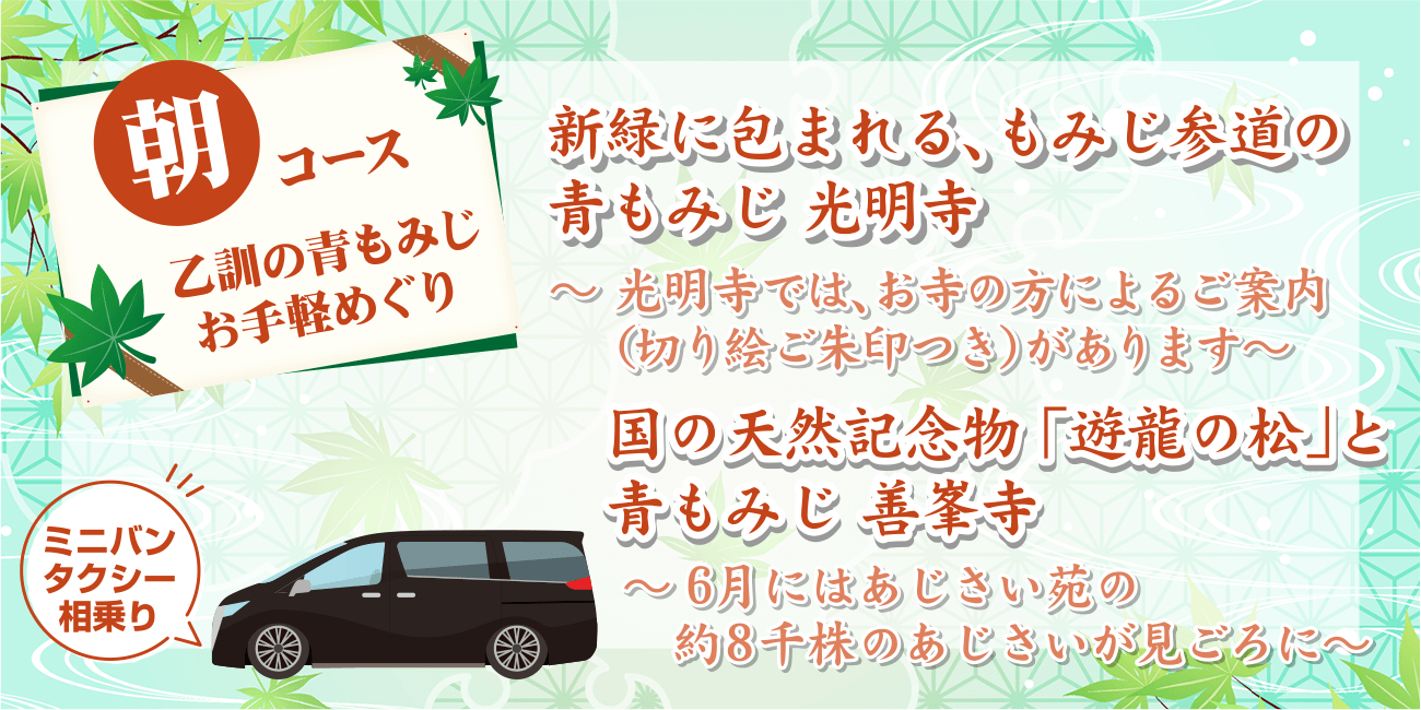 乙訓の青もみじお手軽めぐり:朝コース