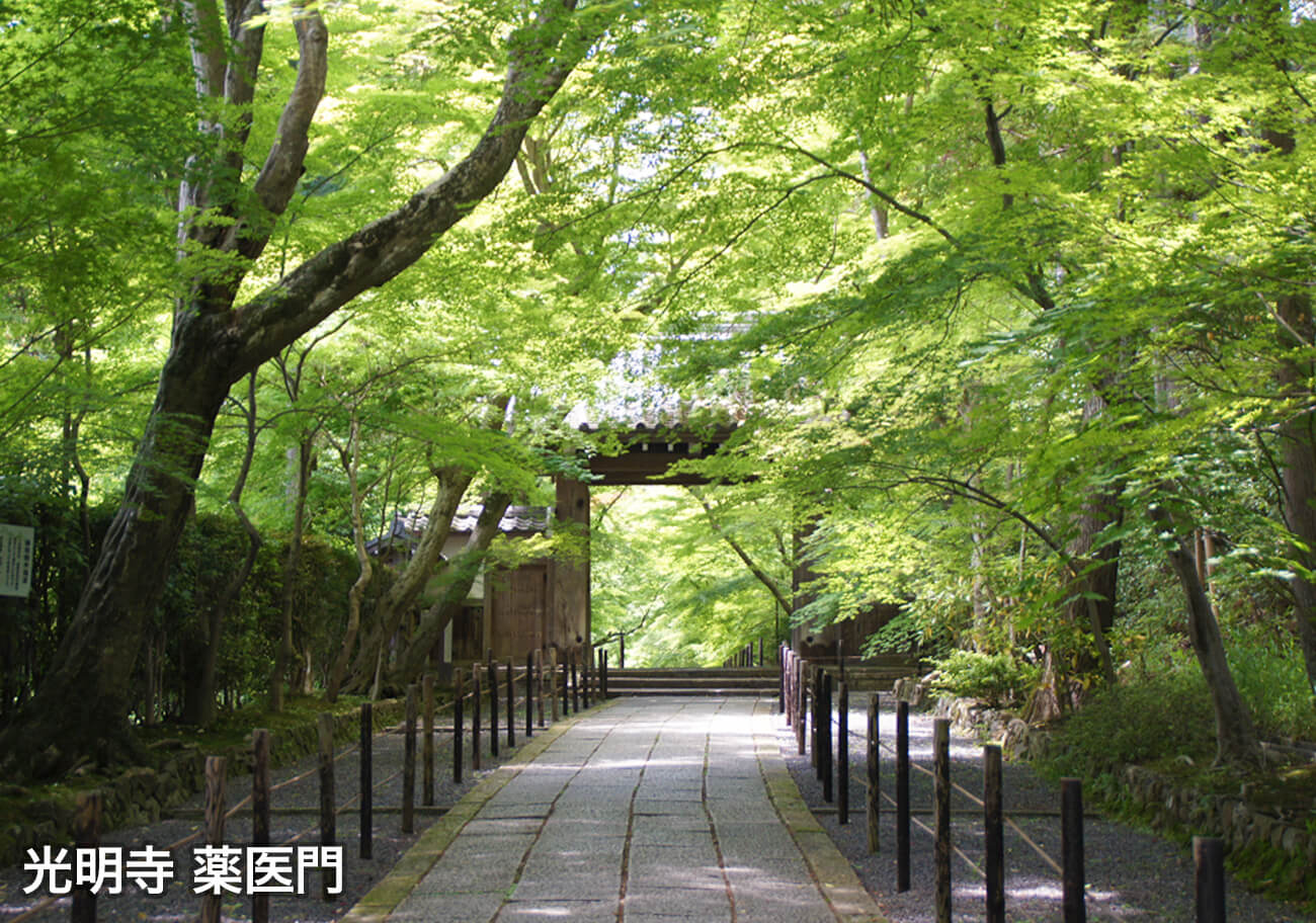 光明寺 薬医門