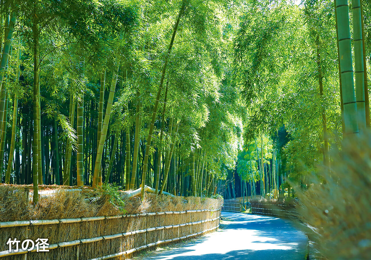 竹の径