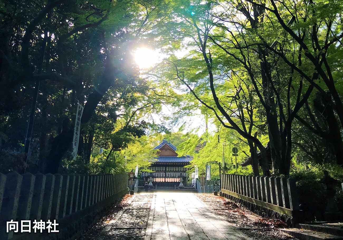 向日神社