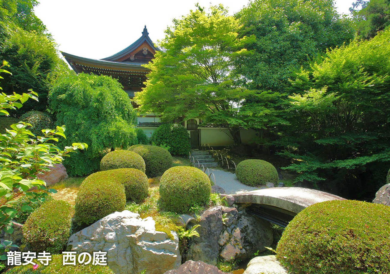 龍安寺 西の庭