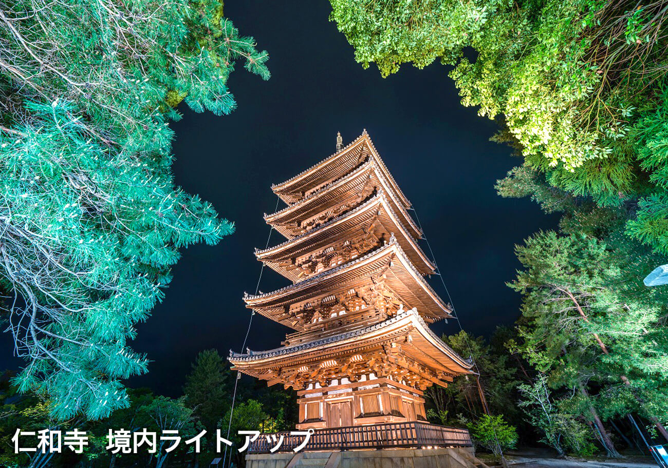 仁和寺 境内ライトアップ１