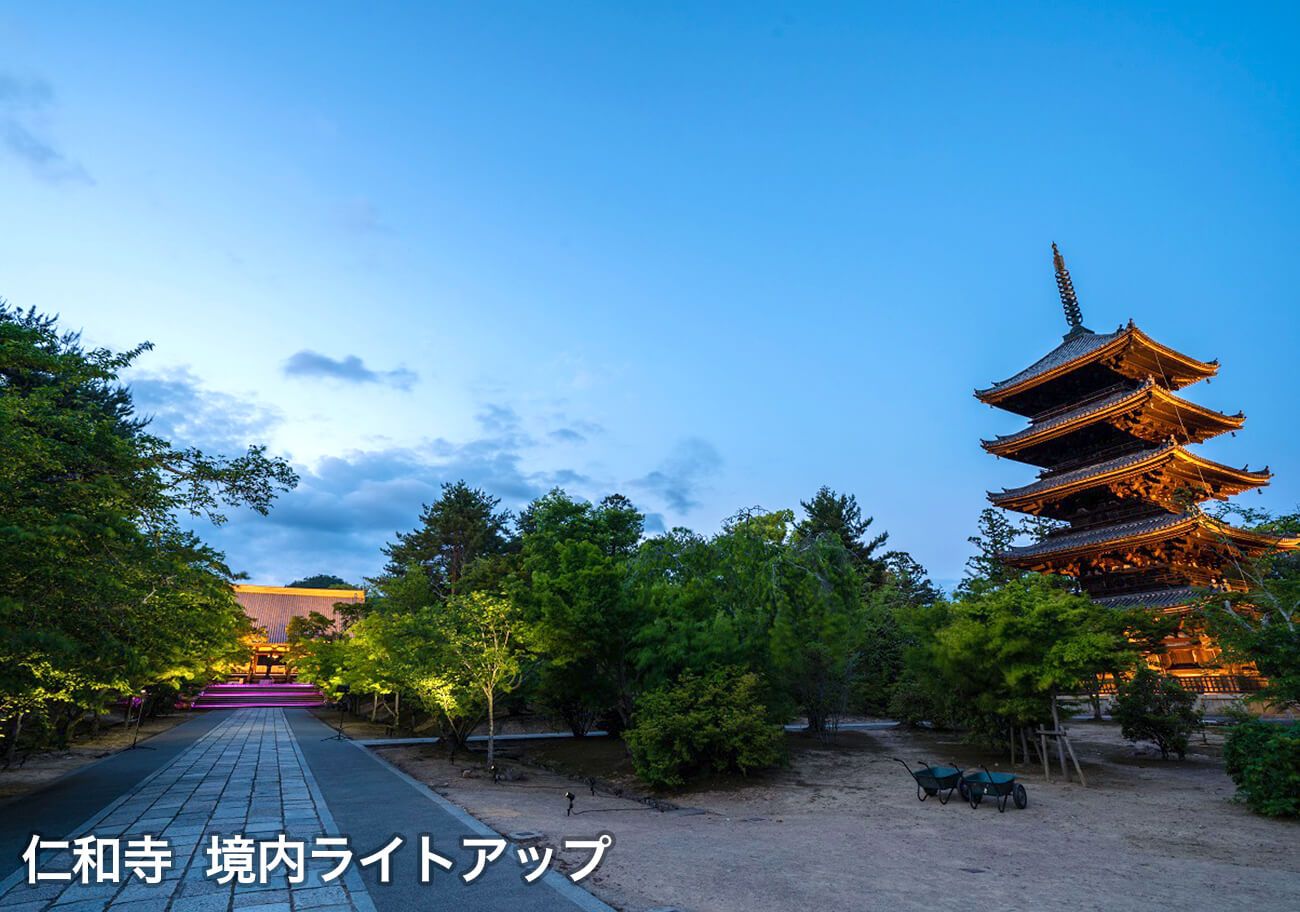 仁和寺 境内ライトアップ２
