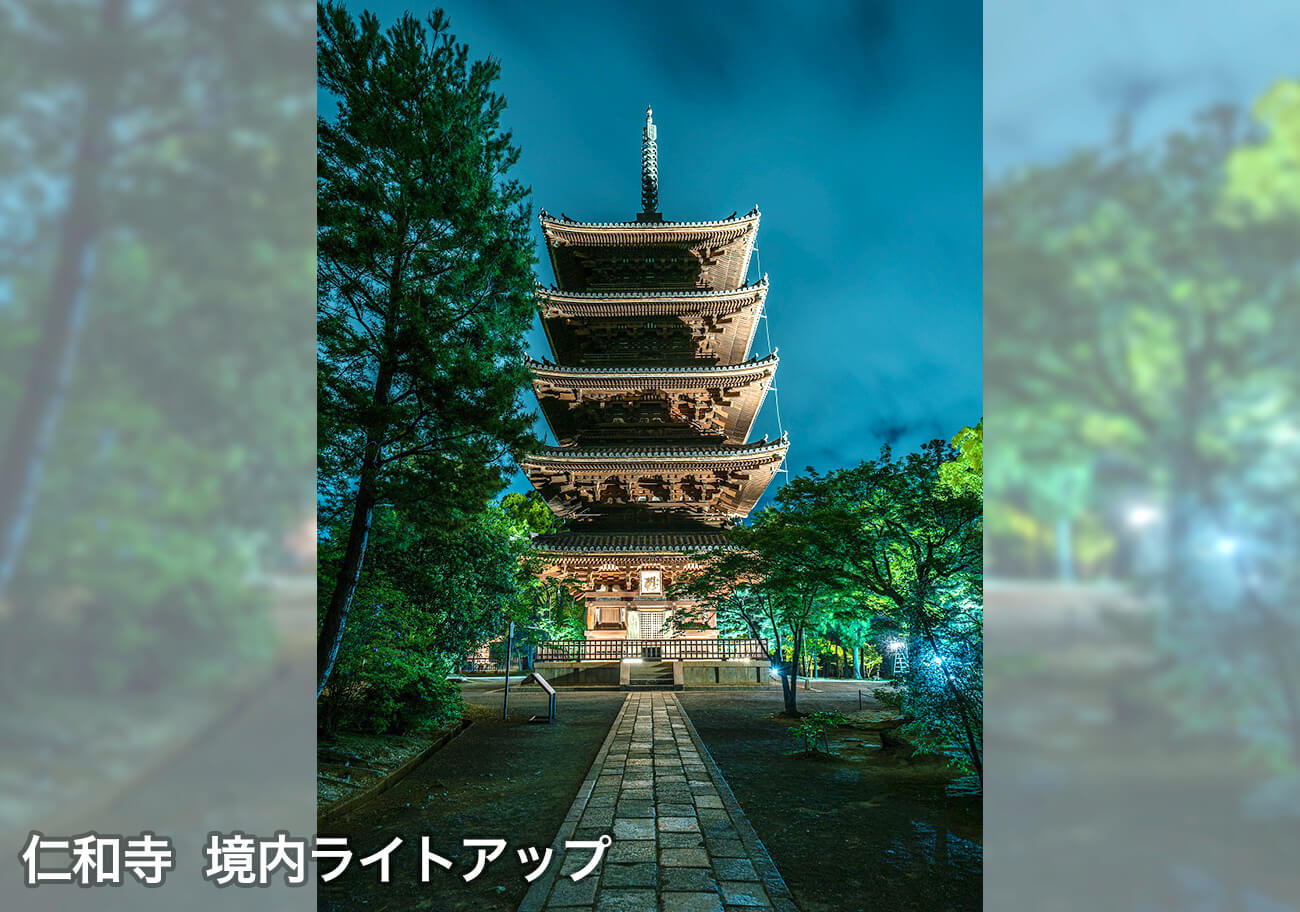 仁和寺 境内ライトアップ