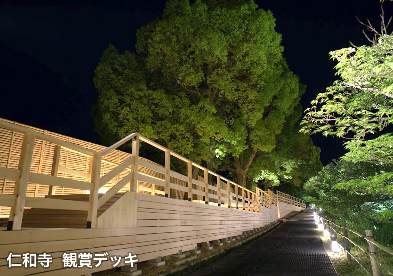 仁和寺 観賞デッキ