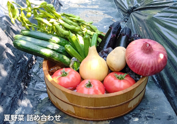 夏野菜 詰め合わせ