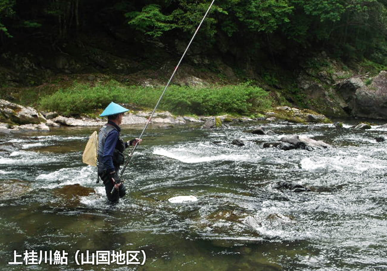 上桂川（山国地区）