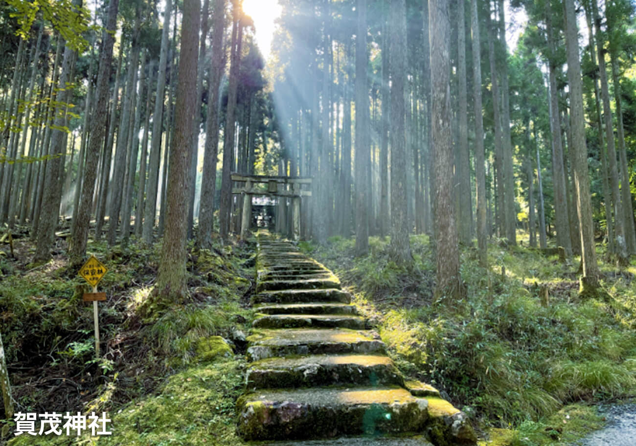 賀茂神社