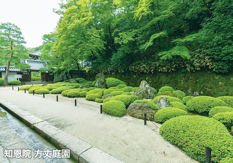 知恩院 方丈庭園