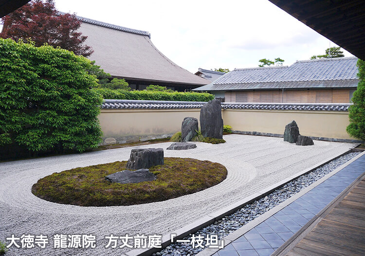 大徳寺 龍源院 方丈襖絵「龍と波」