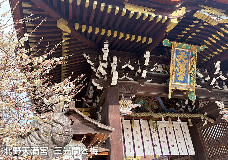 北野天満宮 三光門と梅