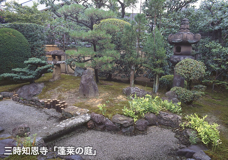 三時知恩寺「蓬莱の庭」