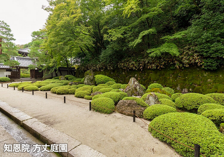 華光寺 本堂内陣像